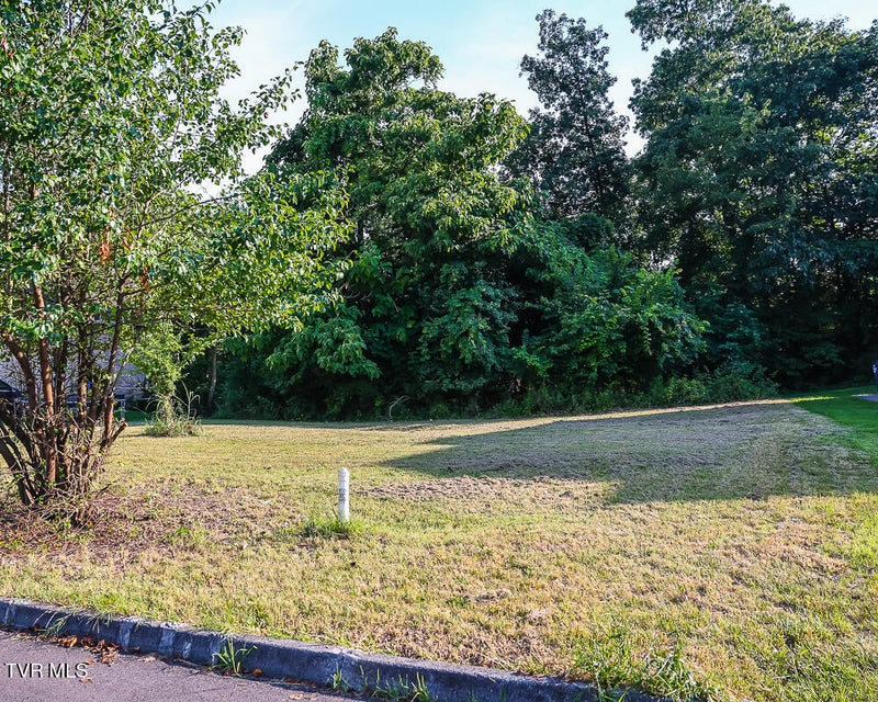 Photo #3: 1764 Buckingham Court