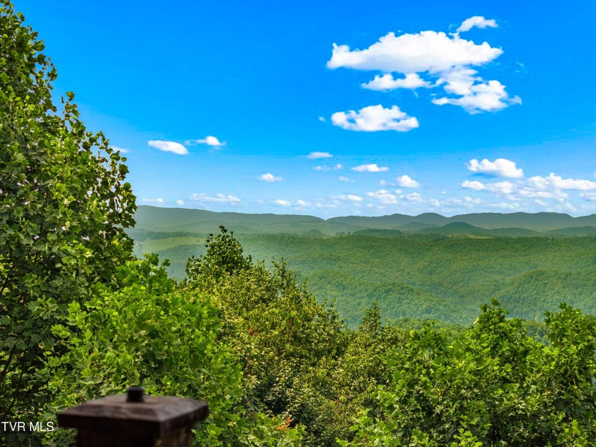 Photo #36: 3388 Short Mountain Road