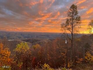 Photo #3: 3388 Short Mountain Road