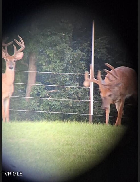 Photo #26: 939 Muddy Creek Rd 