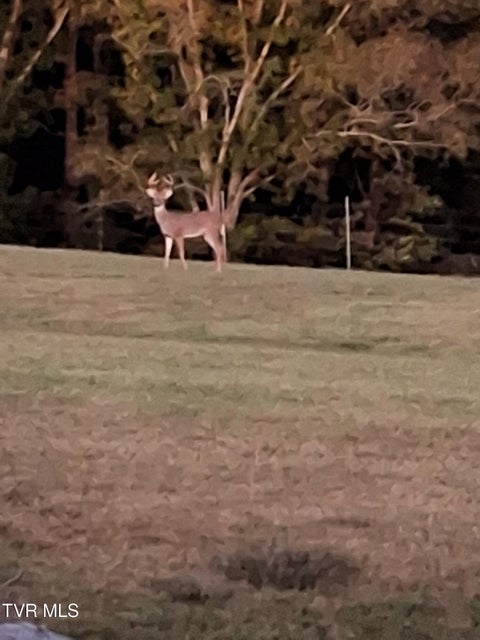 Photo #28: 939 Muddy Creek Rd 