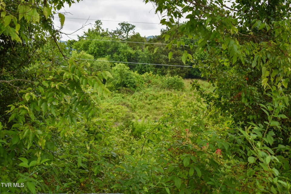 Photo #31: 1085 Old Stage Road