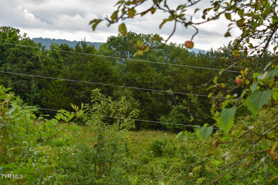 Photo #32: 1085 Old Stage Road