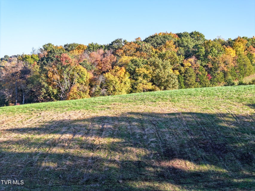 Photo #22: Lots 6-10 Burkey Road