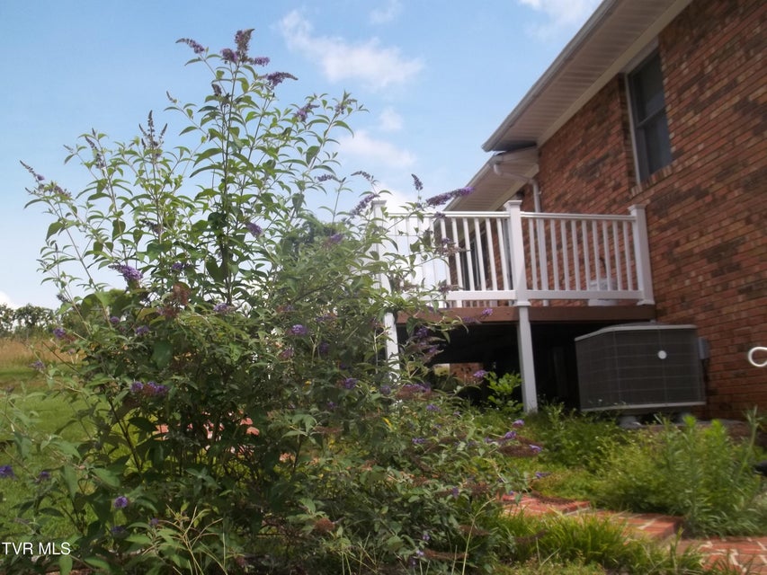 Photo #55: 313 Milburn Avenue