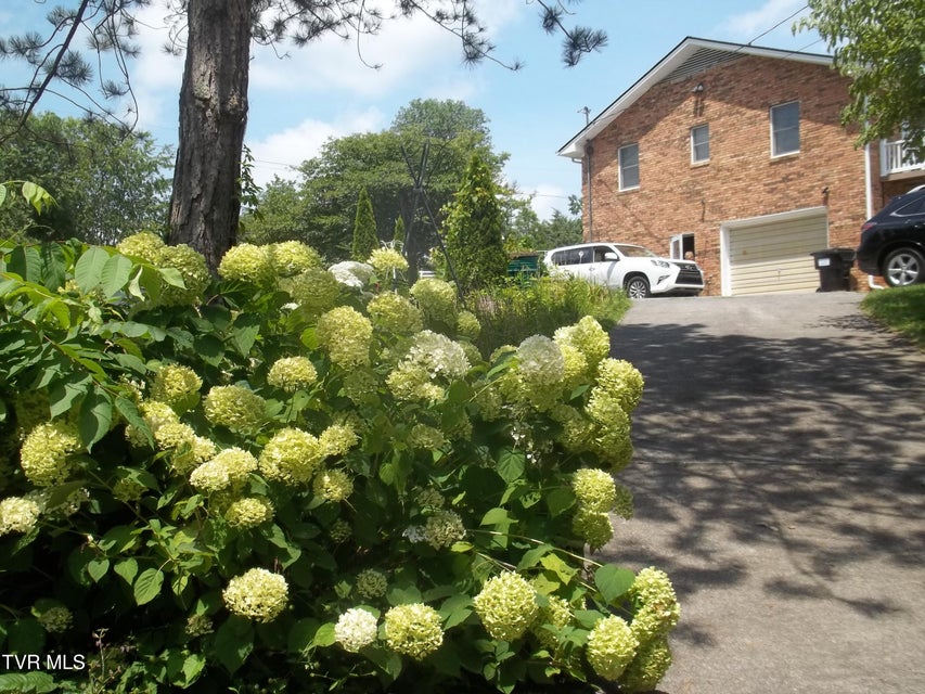 Photo #56: 313 Milburn Avenue