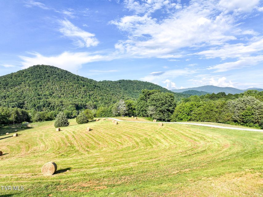 Photo #93: 8512 Asheville Highway