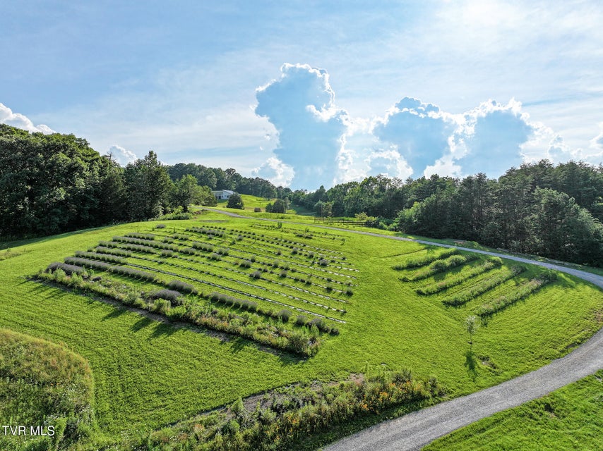 Photo #84: 8512 Asheville Highway