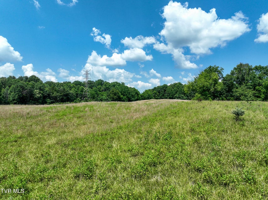Photo #5: 133 Acres Devault Bridge Road