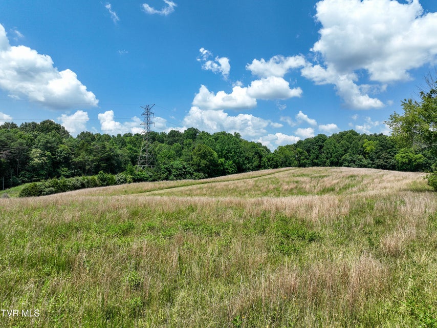 Photo #6: 133 Acres Devault Bridge Road
