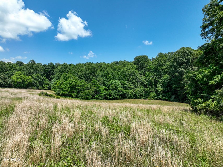 Photo #7: 133 Acres Devault Bridge Road