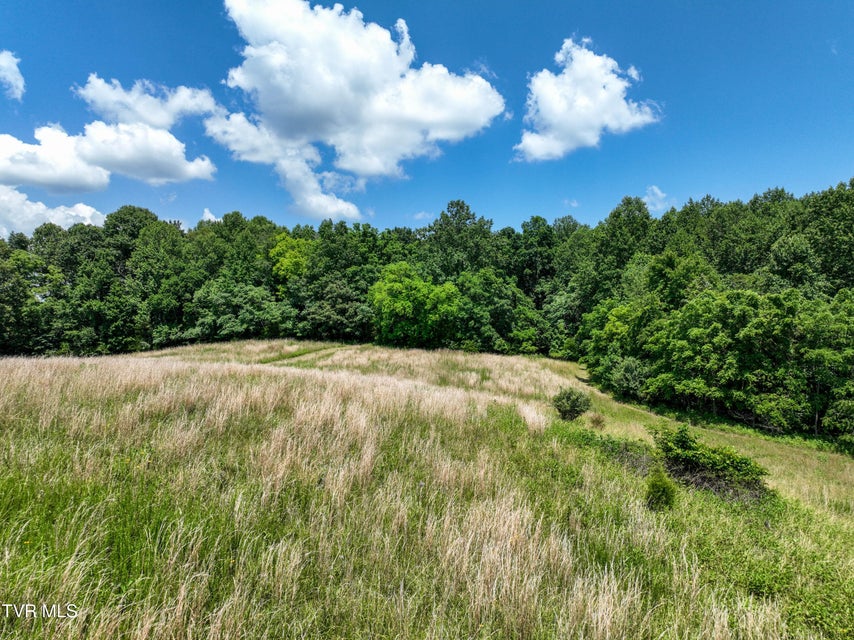 Photo #8: 133 Acres Devault Bridge Road