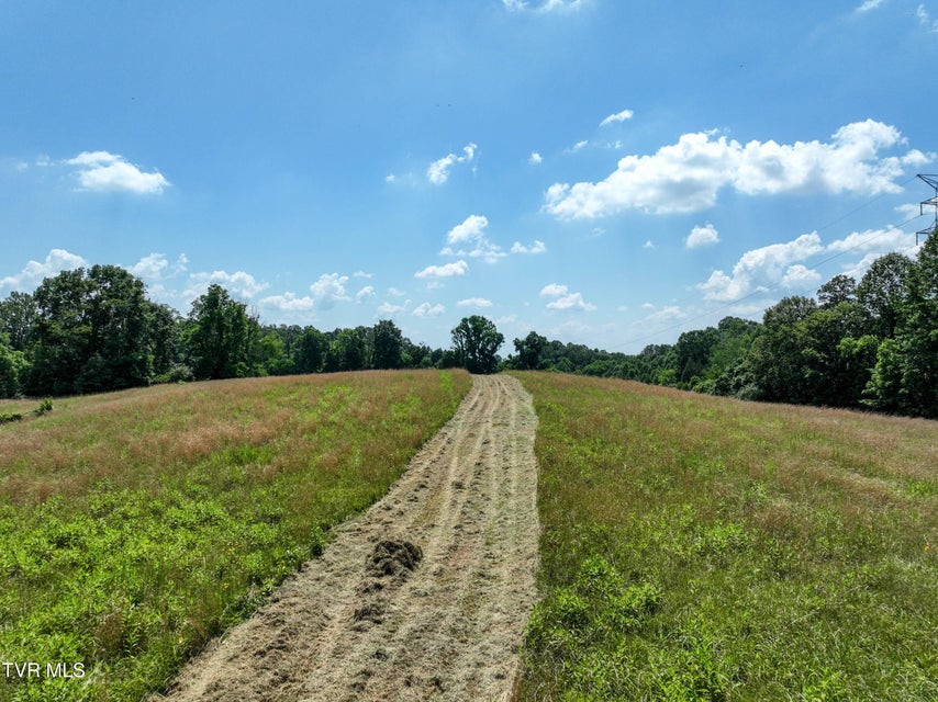 Photo #9: 133 Acres Devault Bridge Road