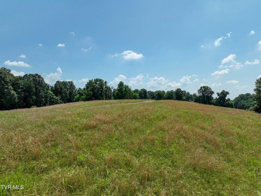 Photo #10: 133 Acres Devault Bridge Road