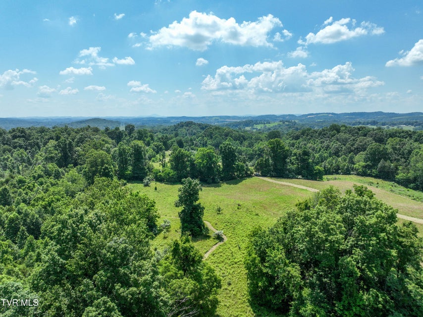 Photo #14: 133 Acres Devault Bridge Road