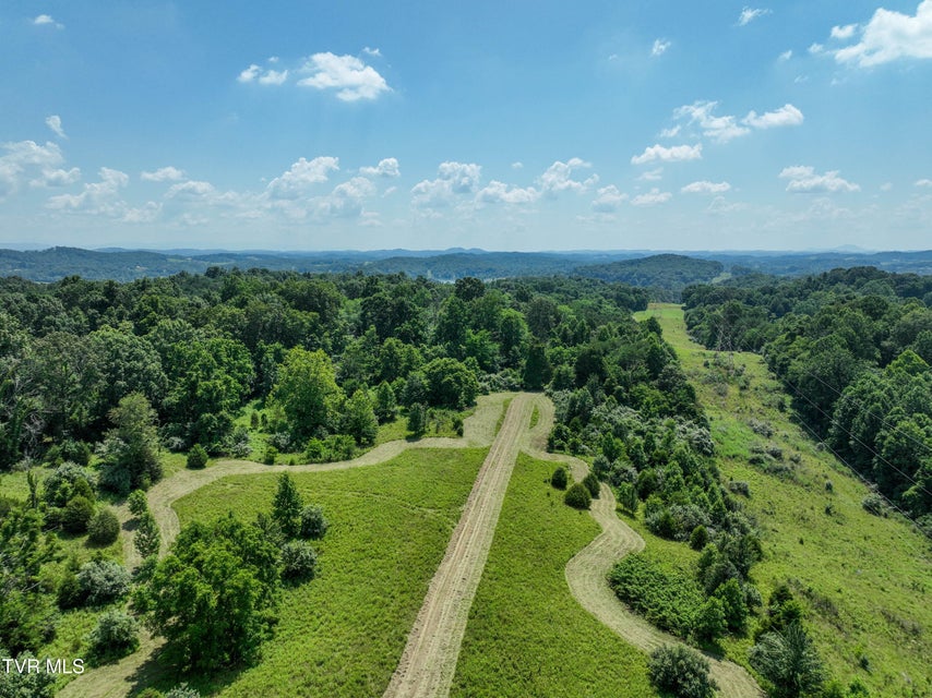Photo #17: 133 Acres Devault Bridge Road