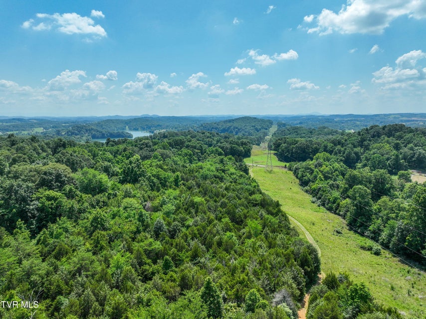 Photo #19: 133 Acres Devault Bridge Road