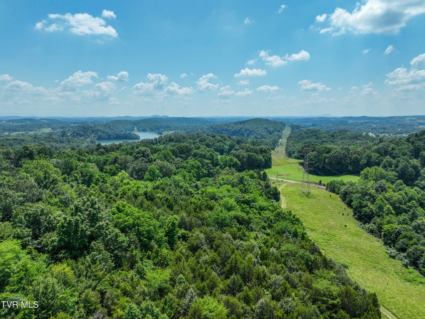 Photo #20: 133 Acres Devault Bridge Road