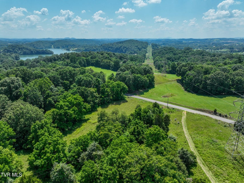 Photo #21: 133 Acres Devault Bridge Road