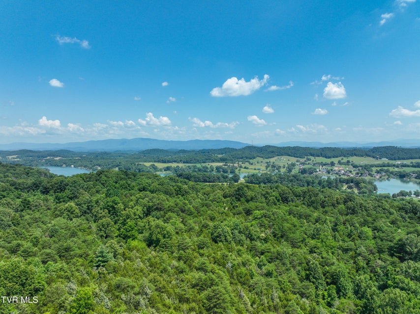 Photo #24: 133 Acres Devault Bridge Road