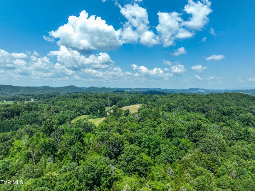 Photo #25: 133 Acres Devault Bridge Road