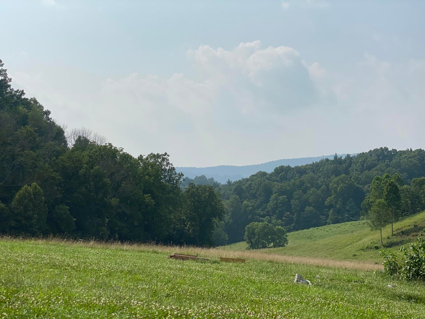 Photo #10: Lot 23 W Of Dry Hill Road