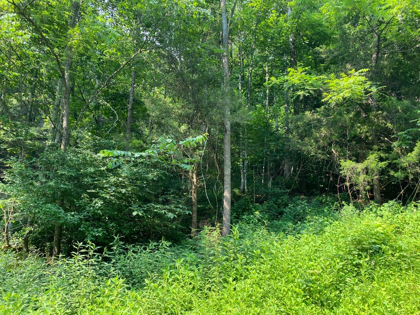 Photo #11: Lot 23 W Of Dry Hill Road