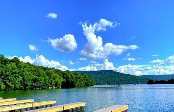 Photo #20: Lot 23 W Of Dry Hill Road