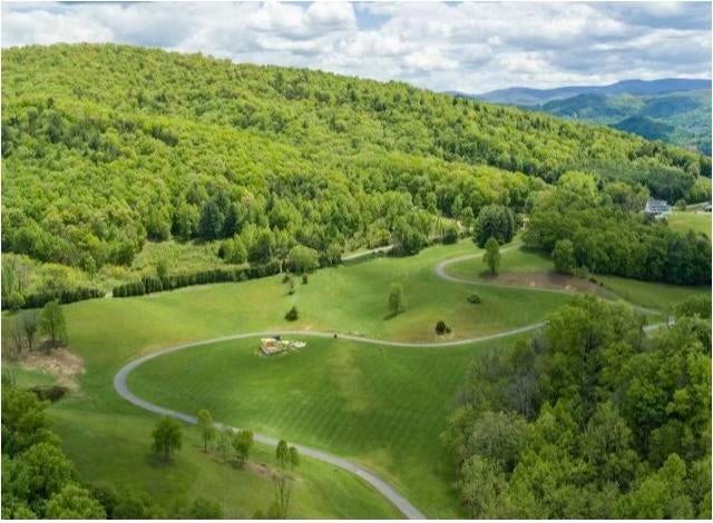 Photo #3: Lot 24 W Of Dry Hill Road
