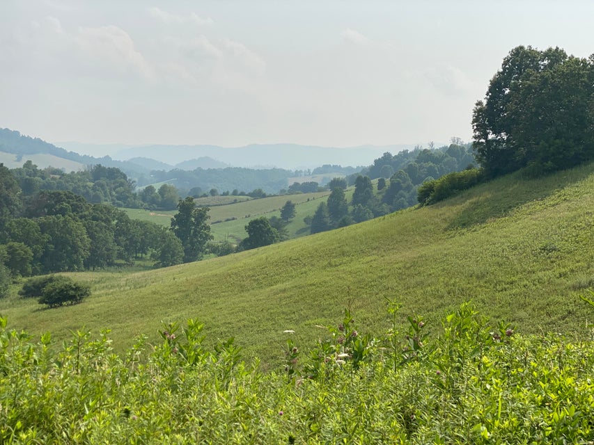 Photo #8: Lot 24 W Of Dry Hill Road