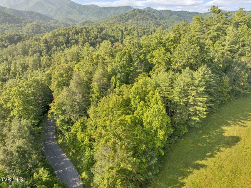 Photo #13: . Clear Branch Road
