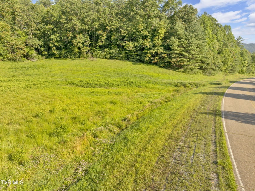 Photo #14: . Clear Branch Road