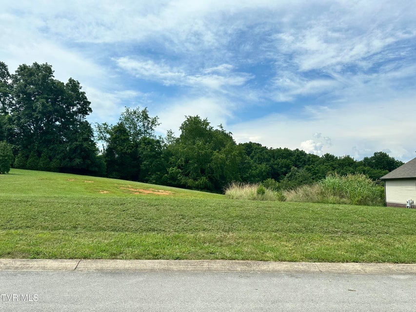 Photo #2: 129 Forest Lane