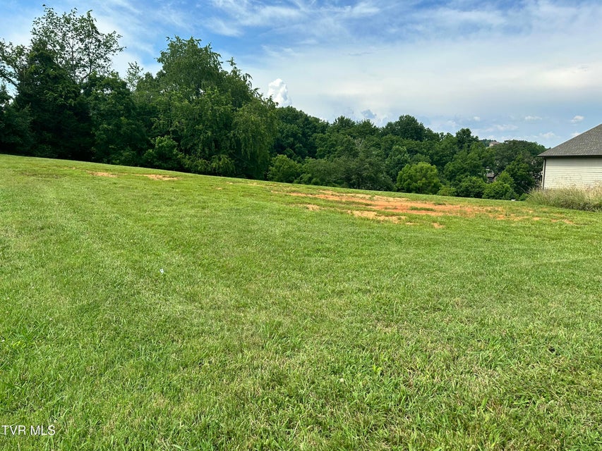 Photo #5: 129 Forest Lane