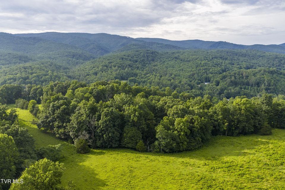 Photo #59: 855 Willow Springs Road