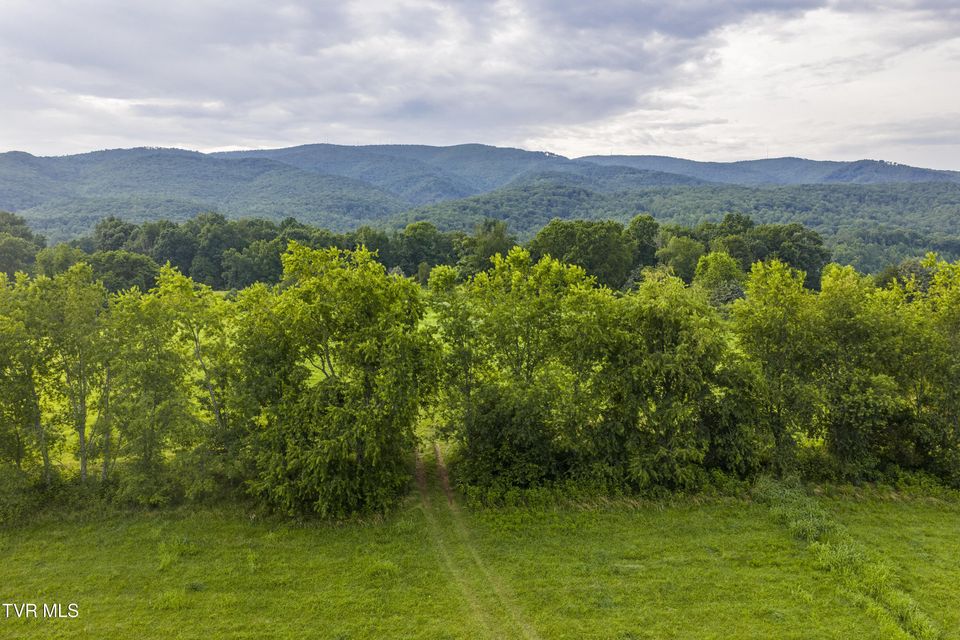 Photo #66: 855 Willow Springs Road