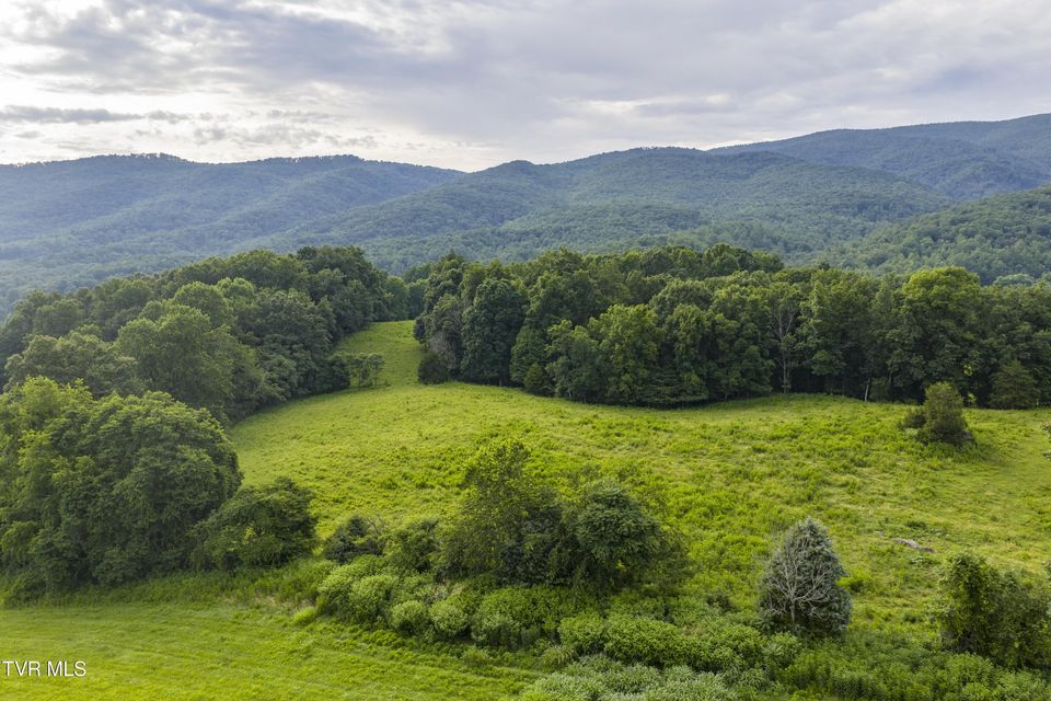 Photo #68: 855 Willow Springs Road