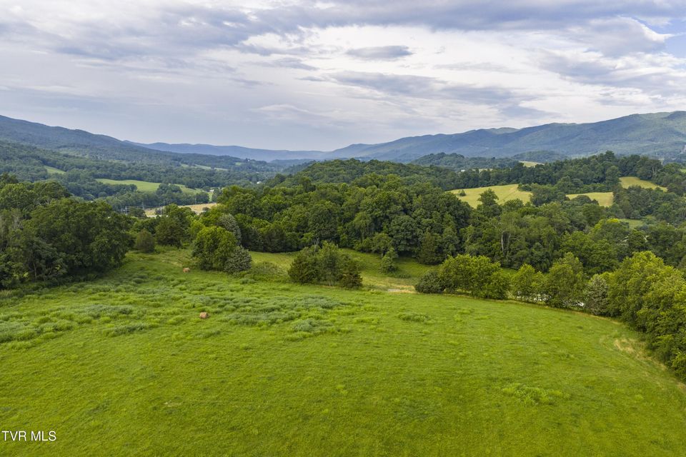 Photo #71: 855 Willow Springs Road