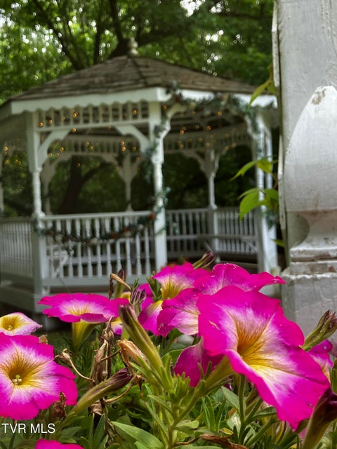 Photo #76: 2833 Oakland Avenue