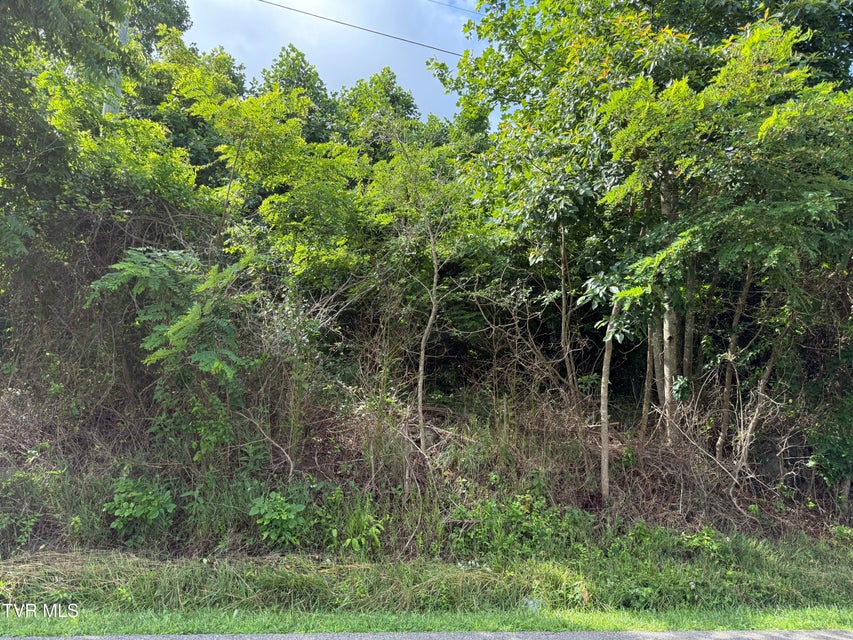 Photo #2: 0 Dettor Road