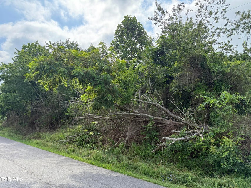 Photo #4: 0 Dettor Road