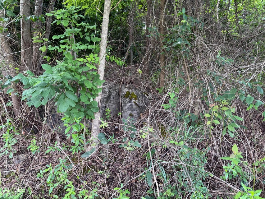 Photo #5: 0 Dettor Road