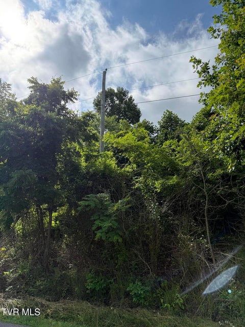 Photo #3: 0 Dettor Road