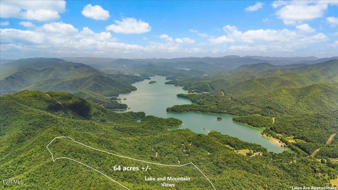 Photo #13: 225 John Glover Road