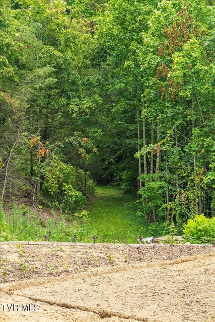 Photo #39: 225 John Glover Road
