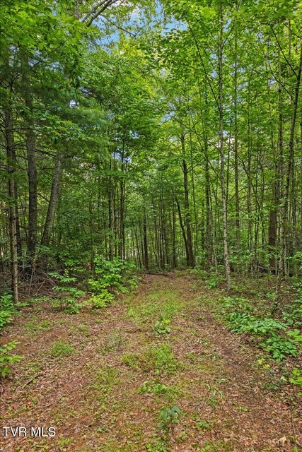 Photo #59: 225 John Glover Road