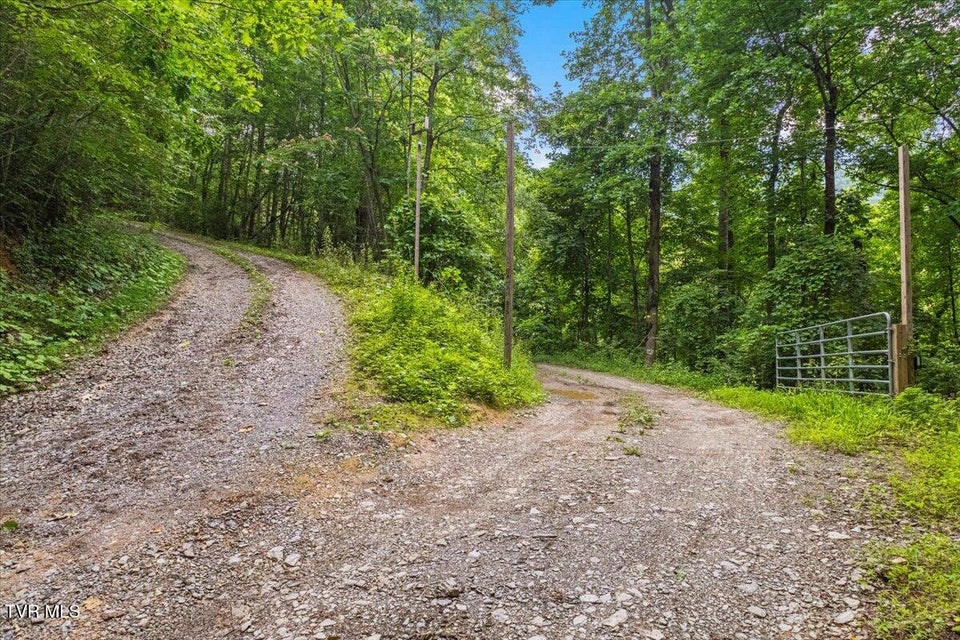 Photo #67: 225 John Glover Road