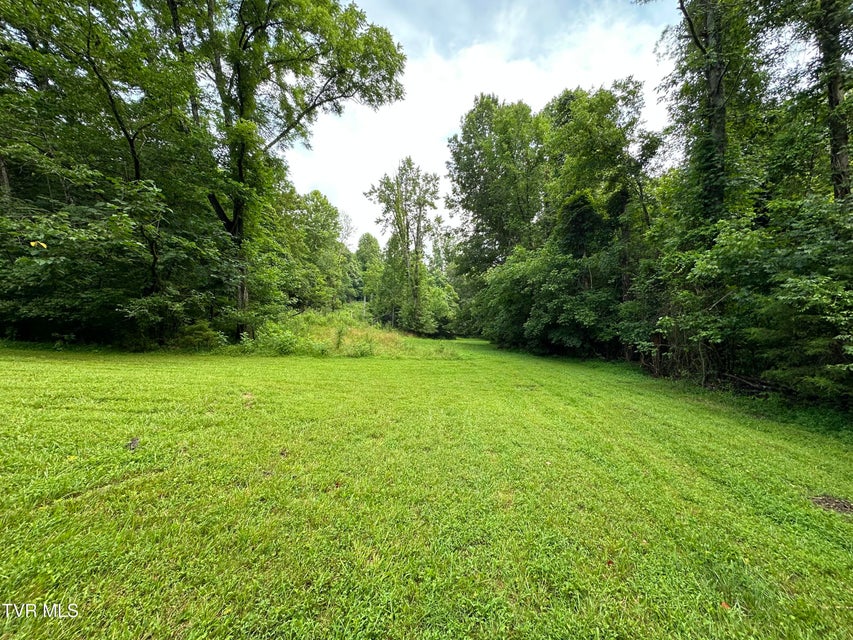 Photo #2: Tbd Haw Ridge Rd