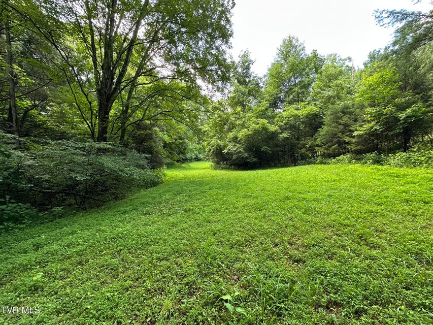 Photo #3: Tbd Haw Ridge Rd