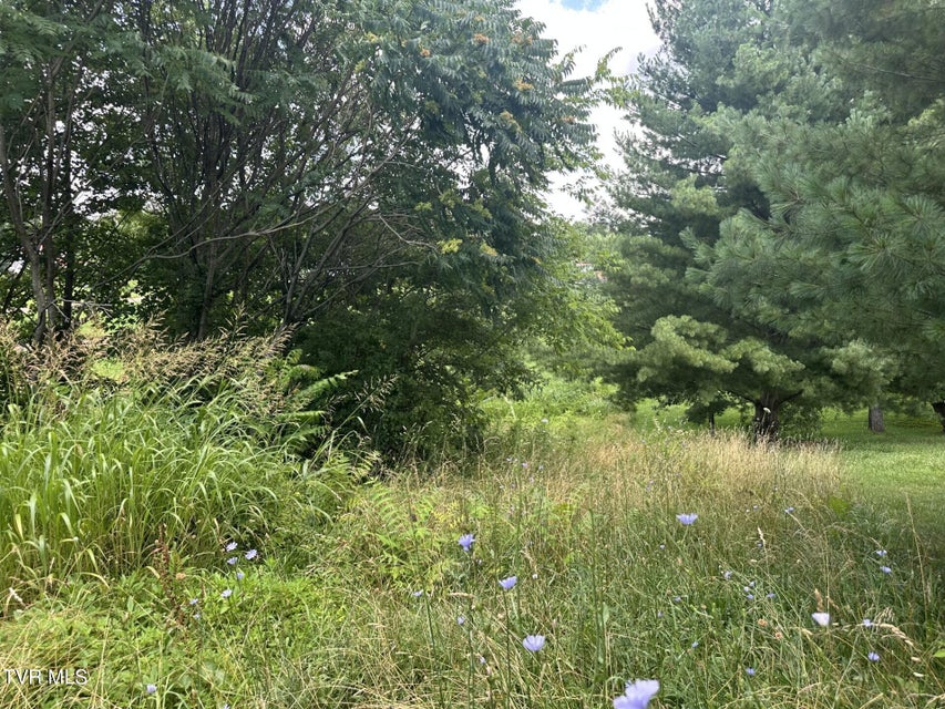 Photo #8: 120 Hensley Loop